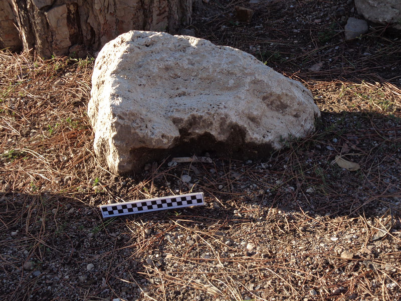 scheggia