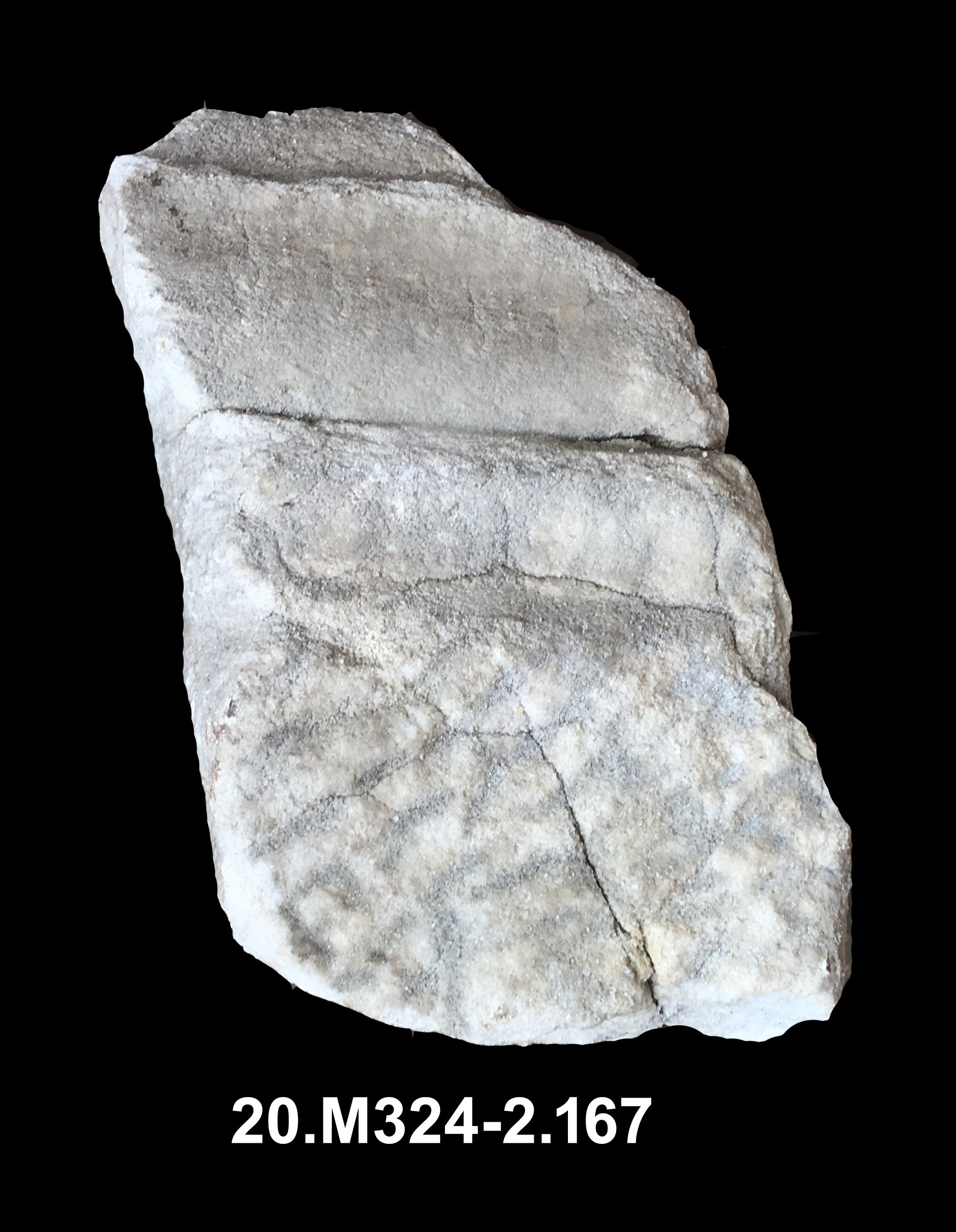 zoccolo/ liscio