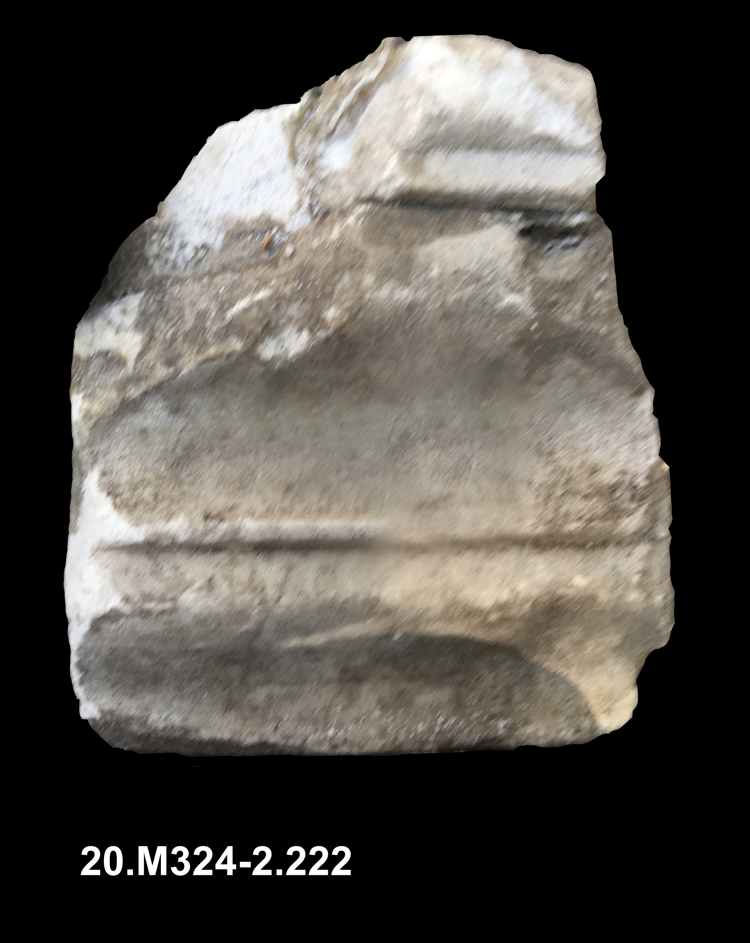 zoccolo/ liscio