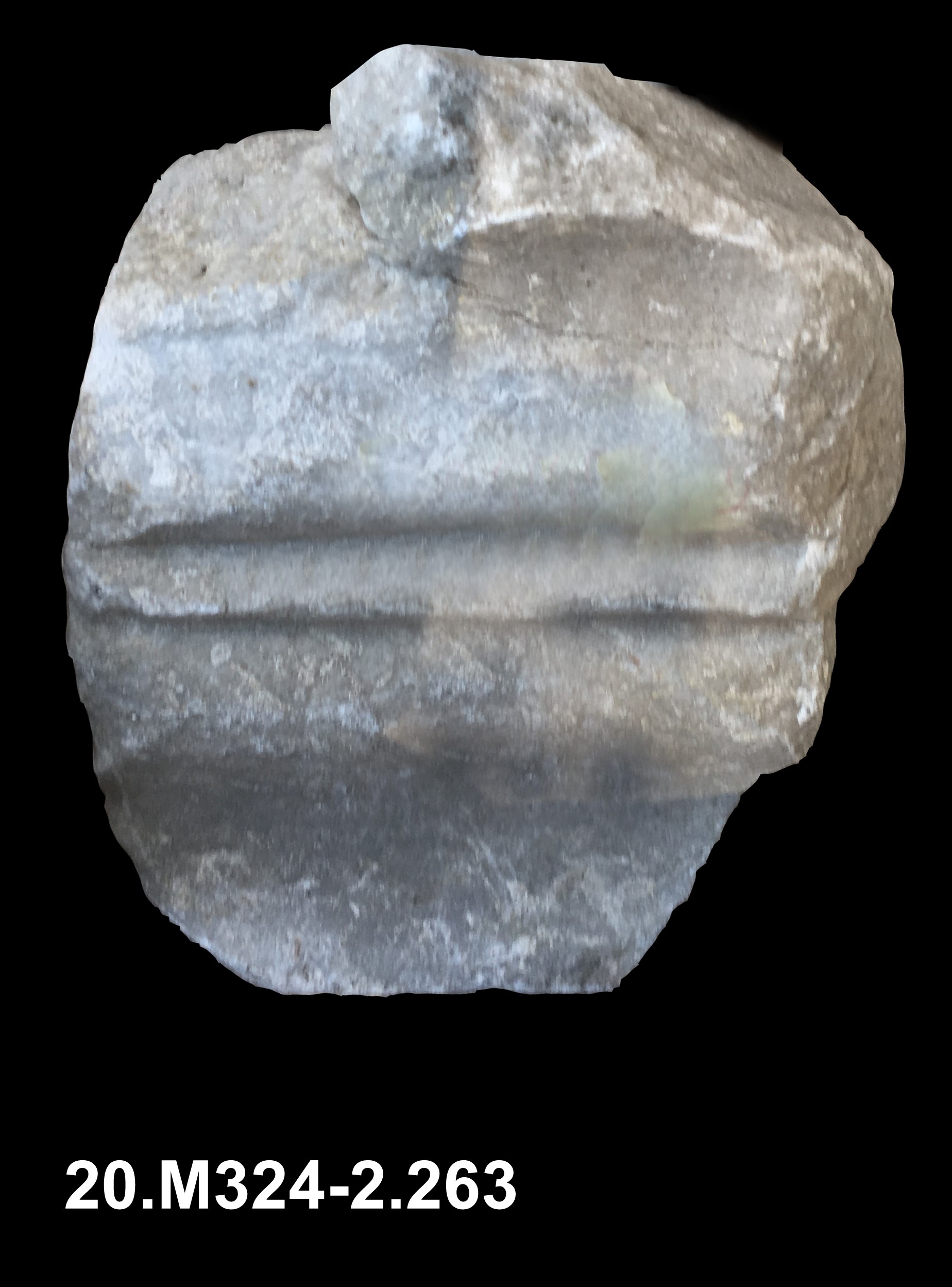 incorniciatura/ modanata