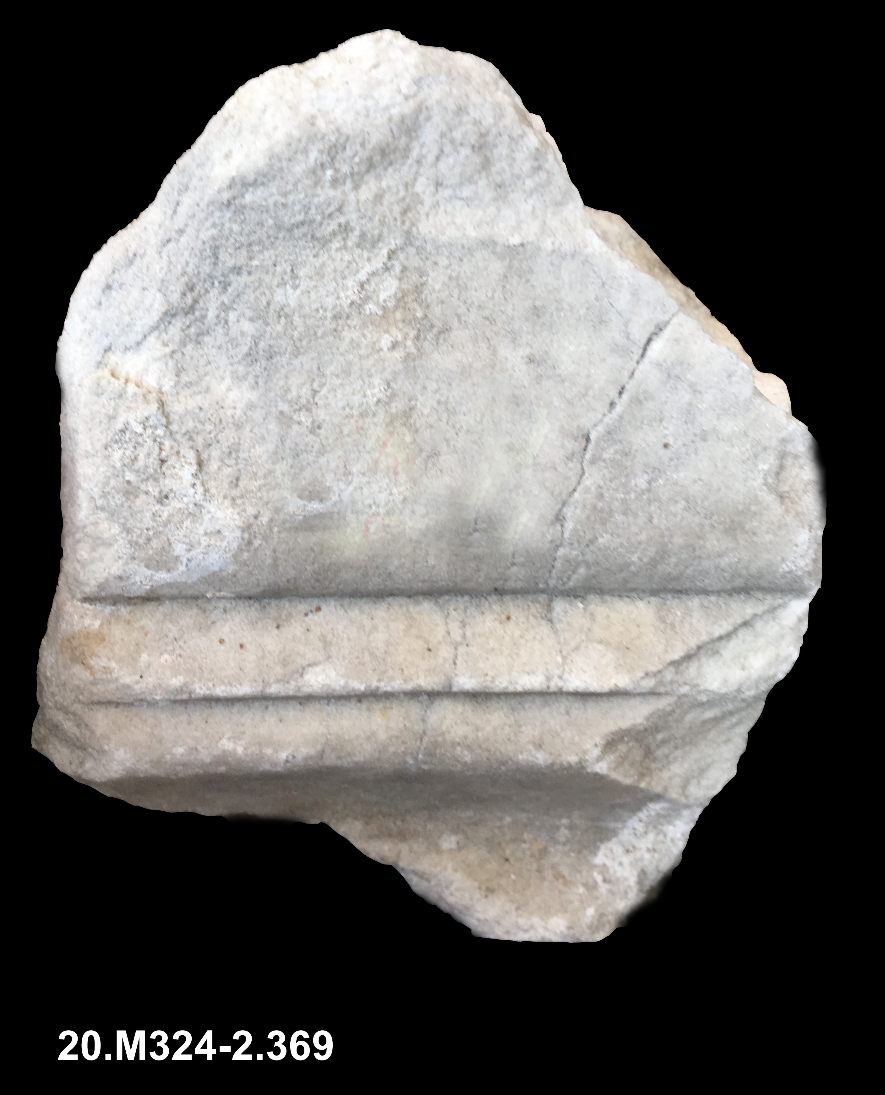 incorniciatura/ modanata