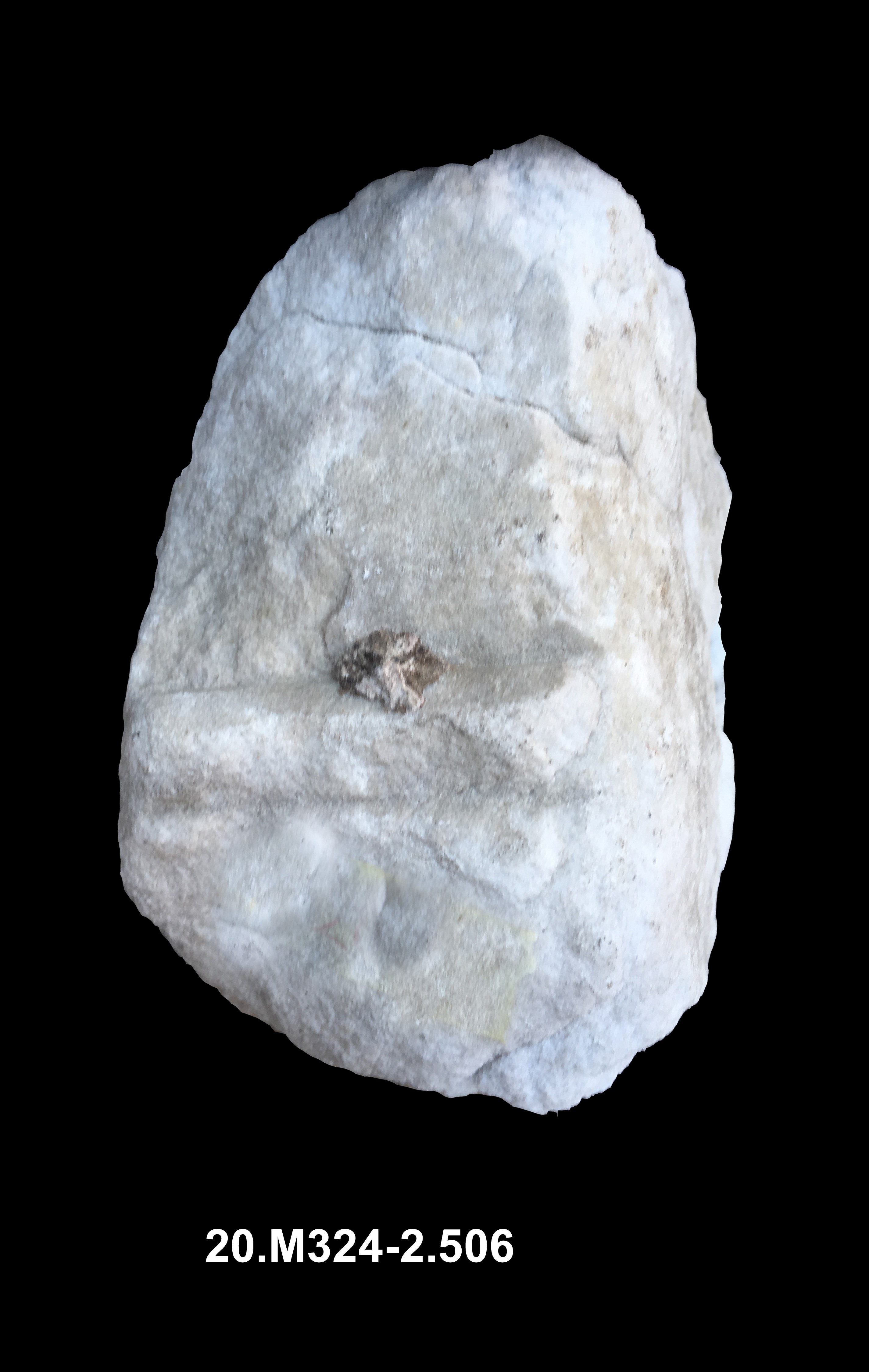 incorniciatura/ modanata