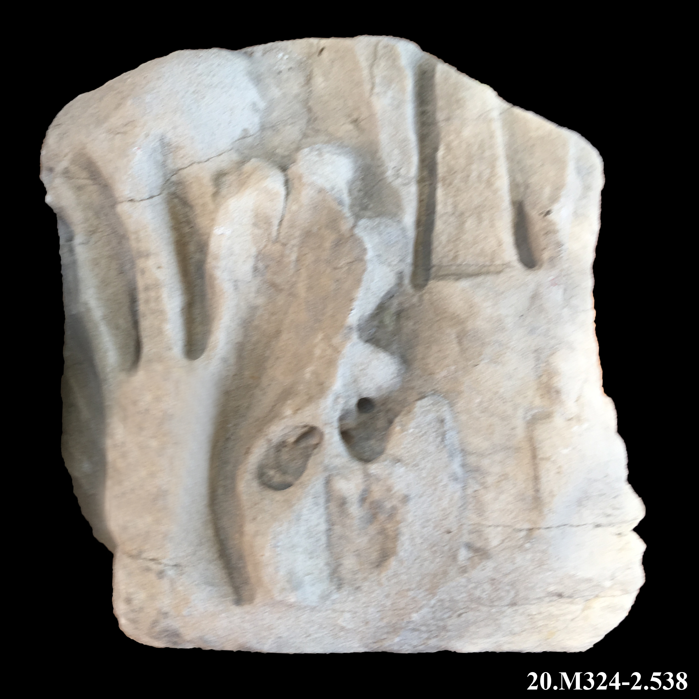 capitello/ di colonna/ corinzio (*)/ / kalathos (*)