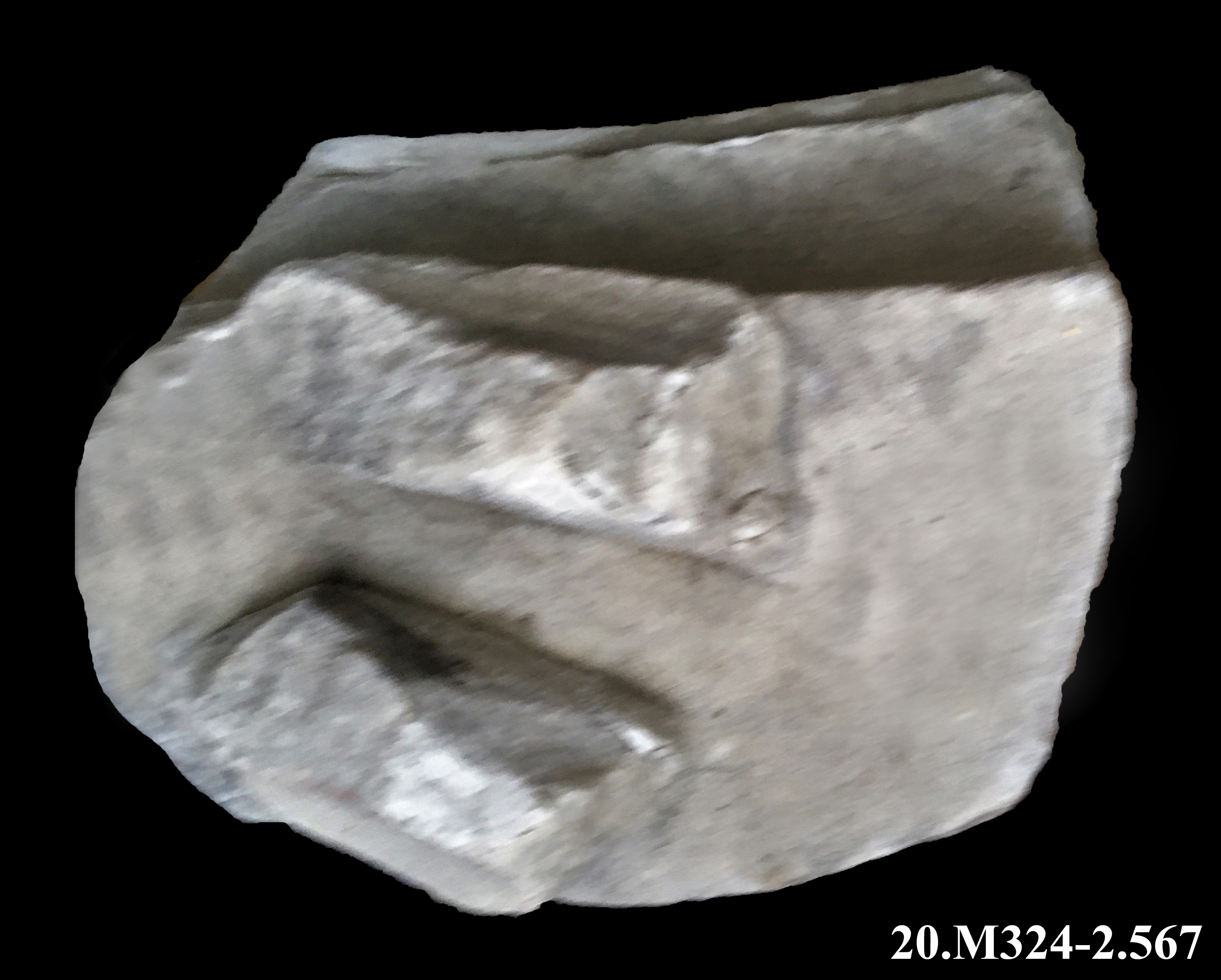 capitello/ corinzio (*)/ / abaco (*)