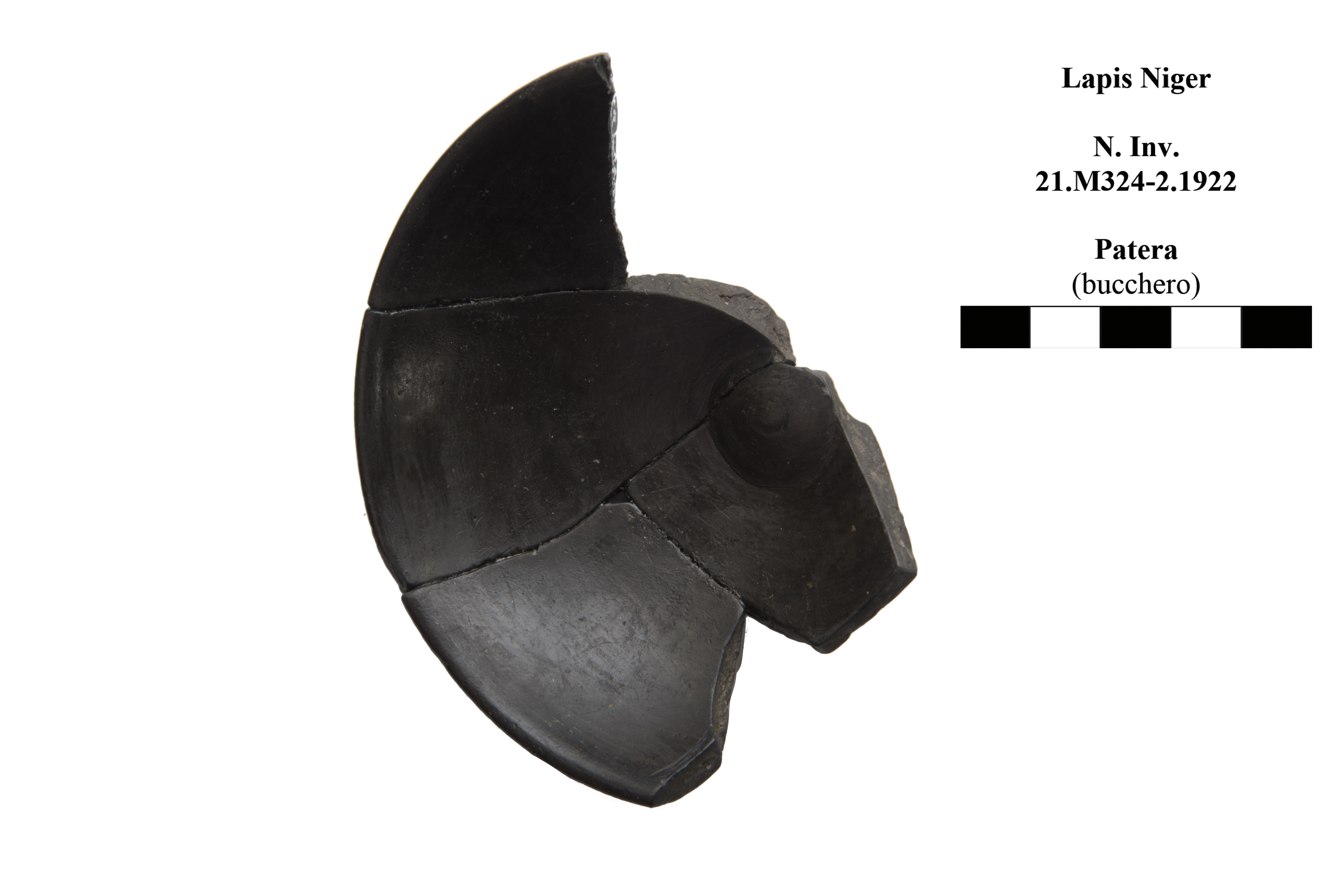 patera/ ombelicata