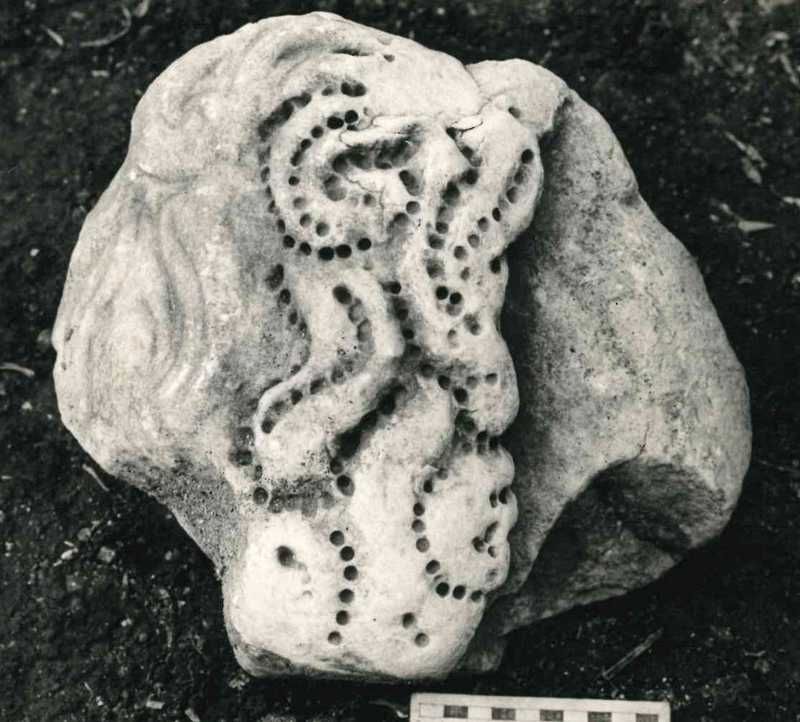 Testa frammentata