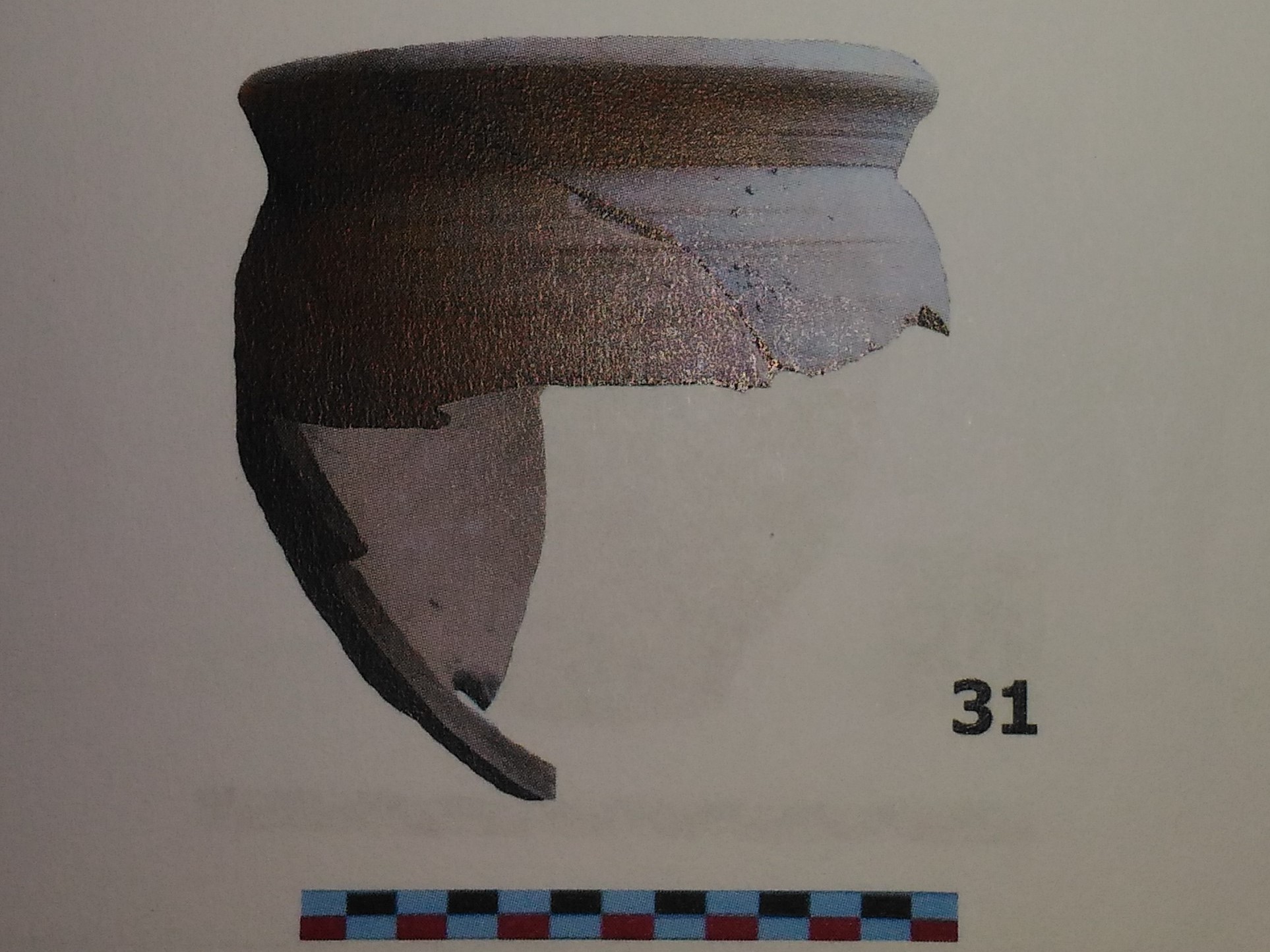 olla/ perforata