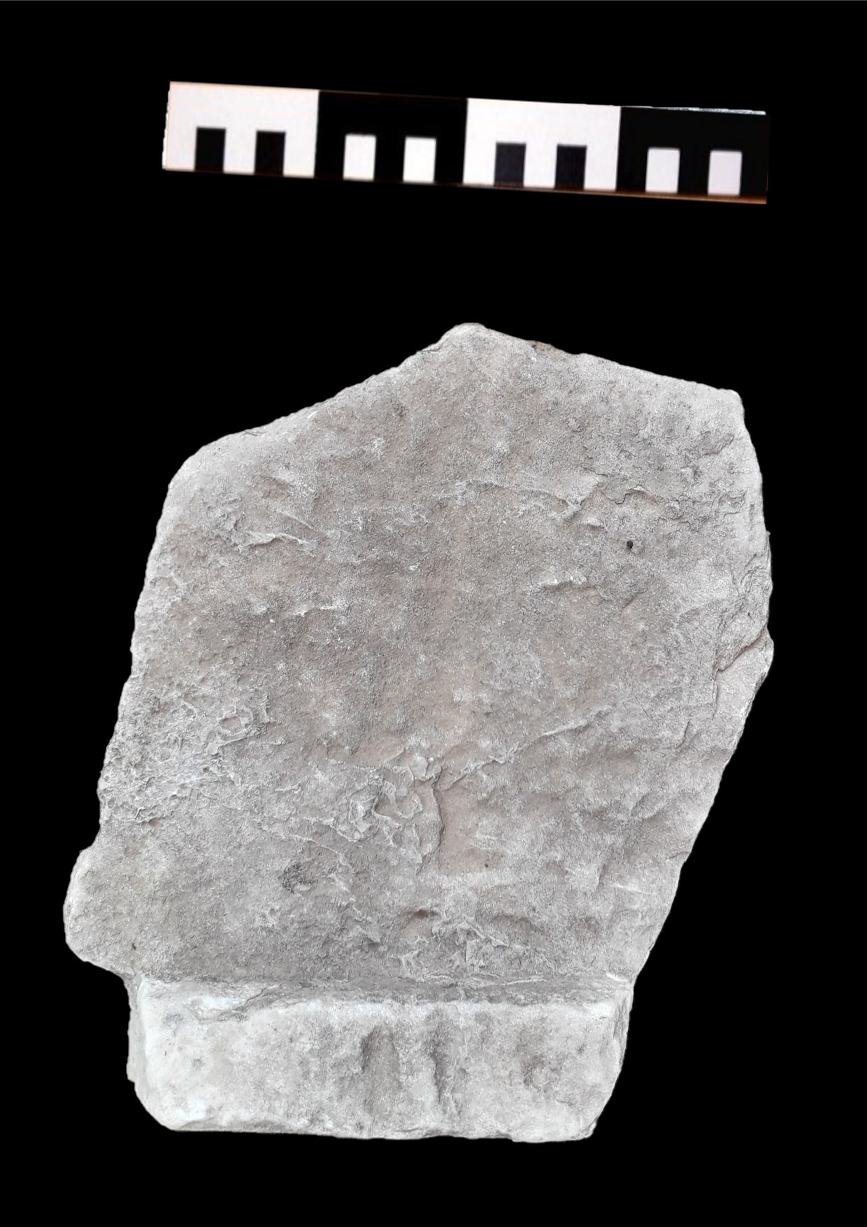 tegola