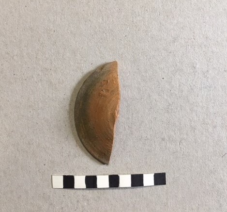 coperchio