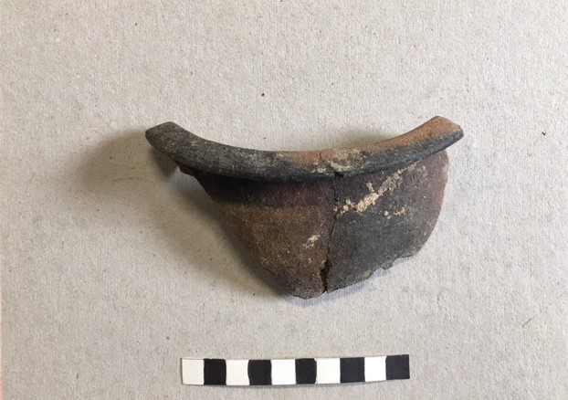 olla