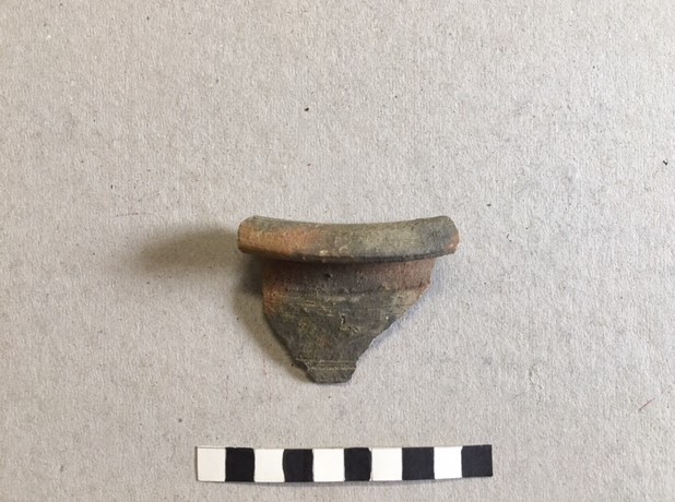 olla