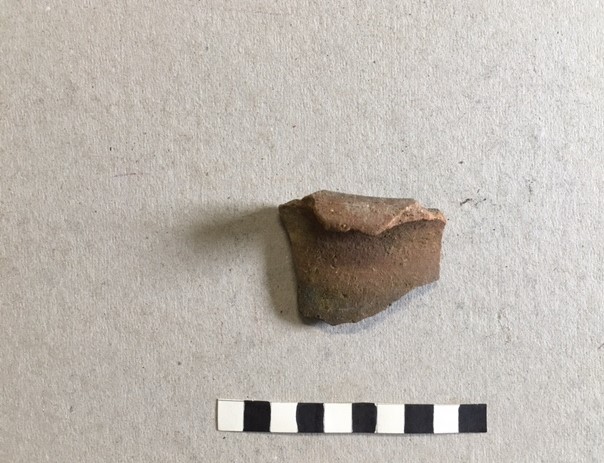 olla
