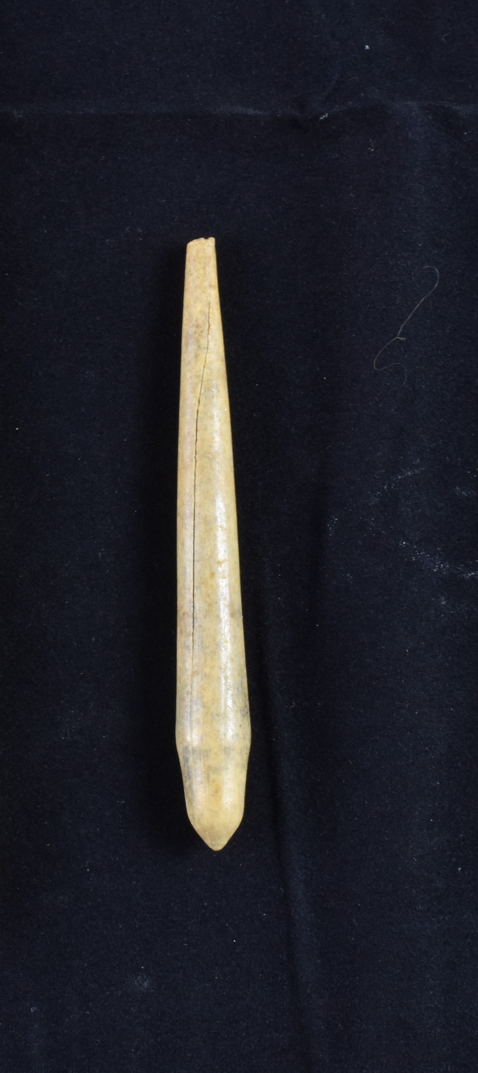 stiletto