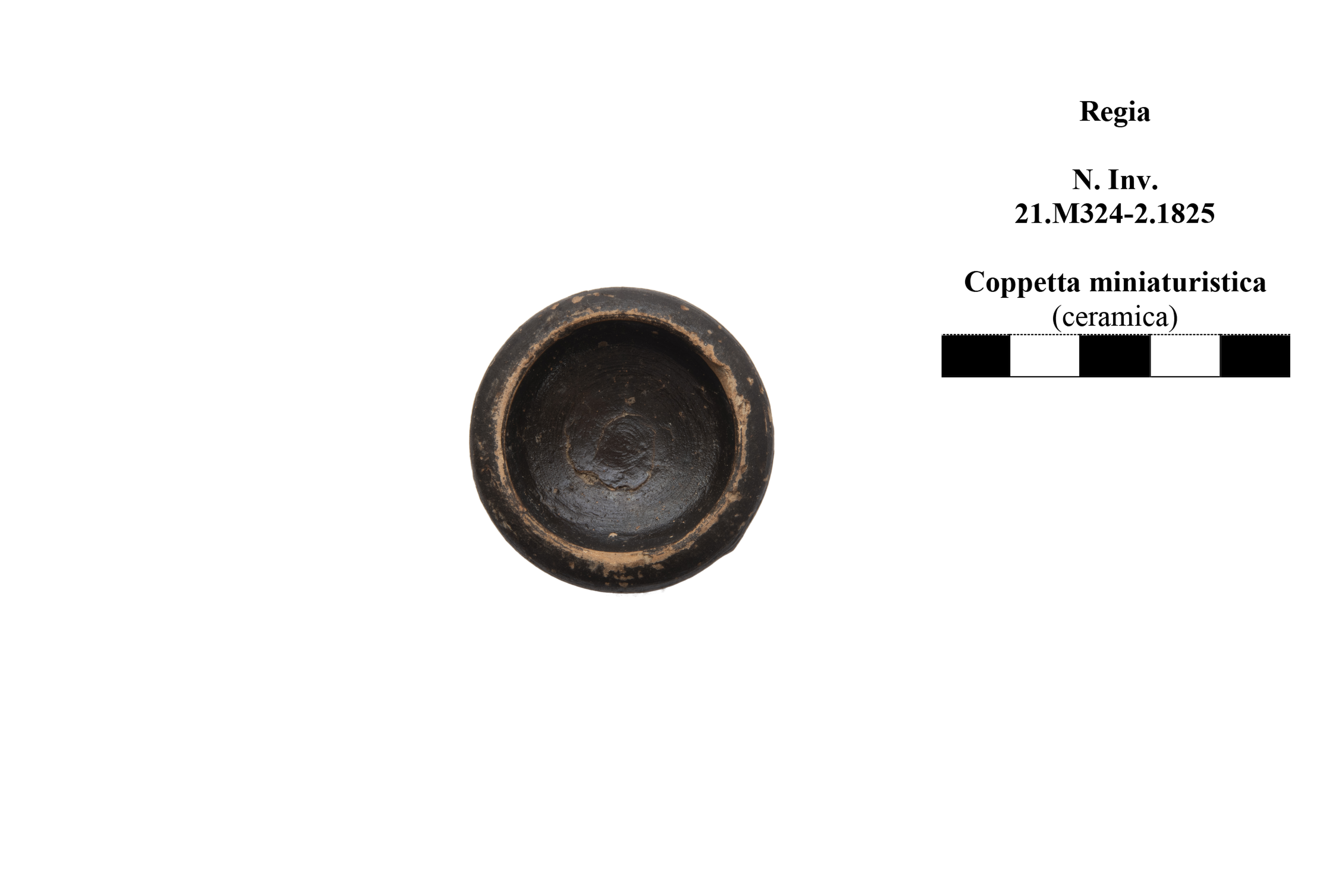 coppa/ miniaturistica