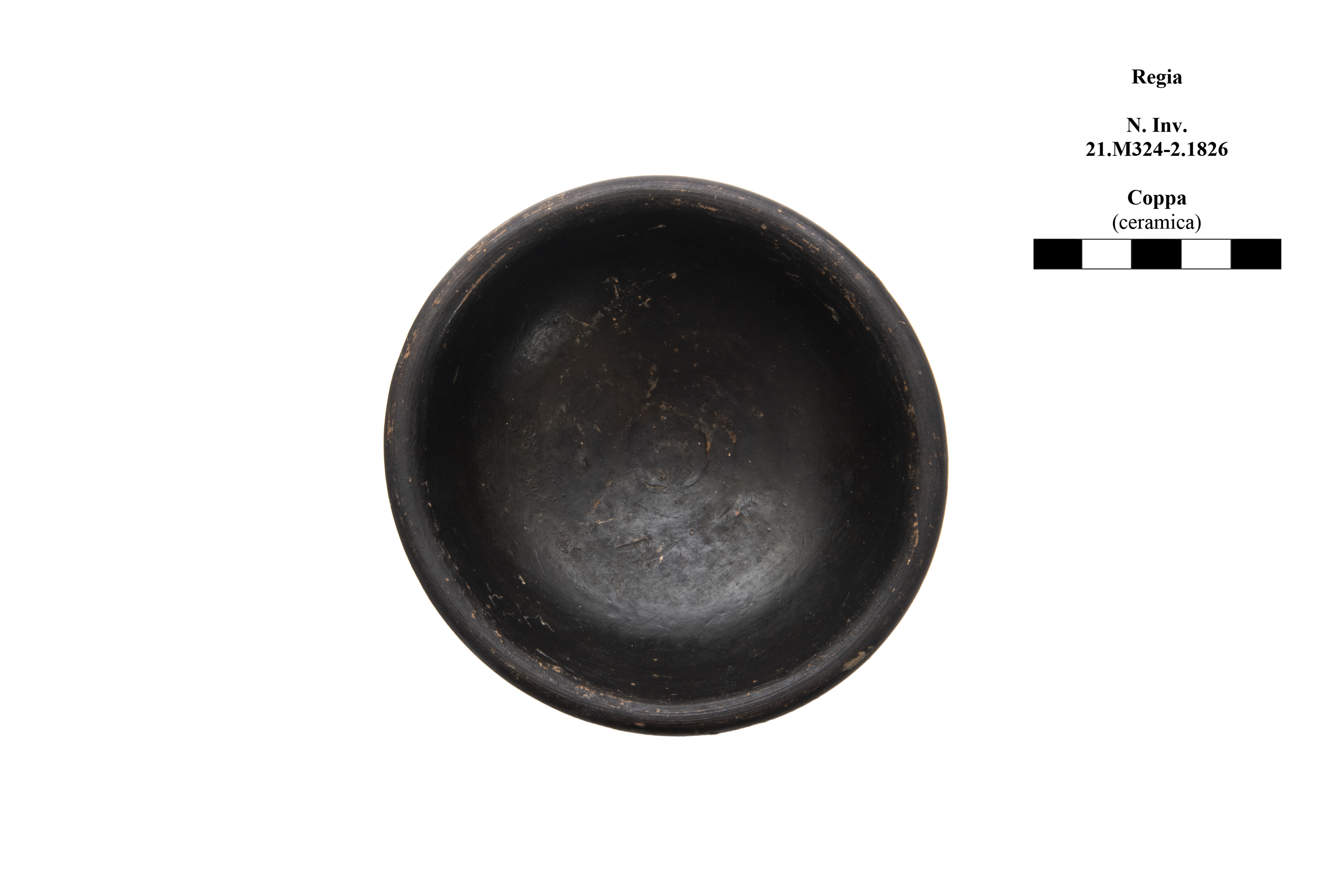 coppa