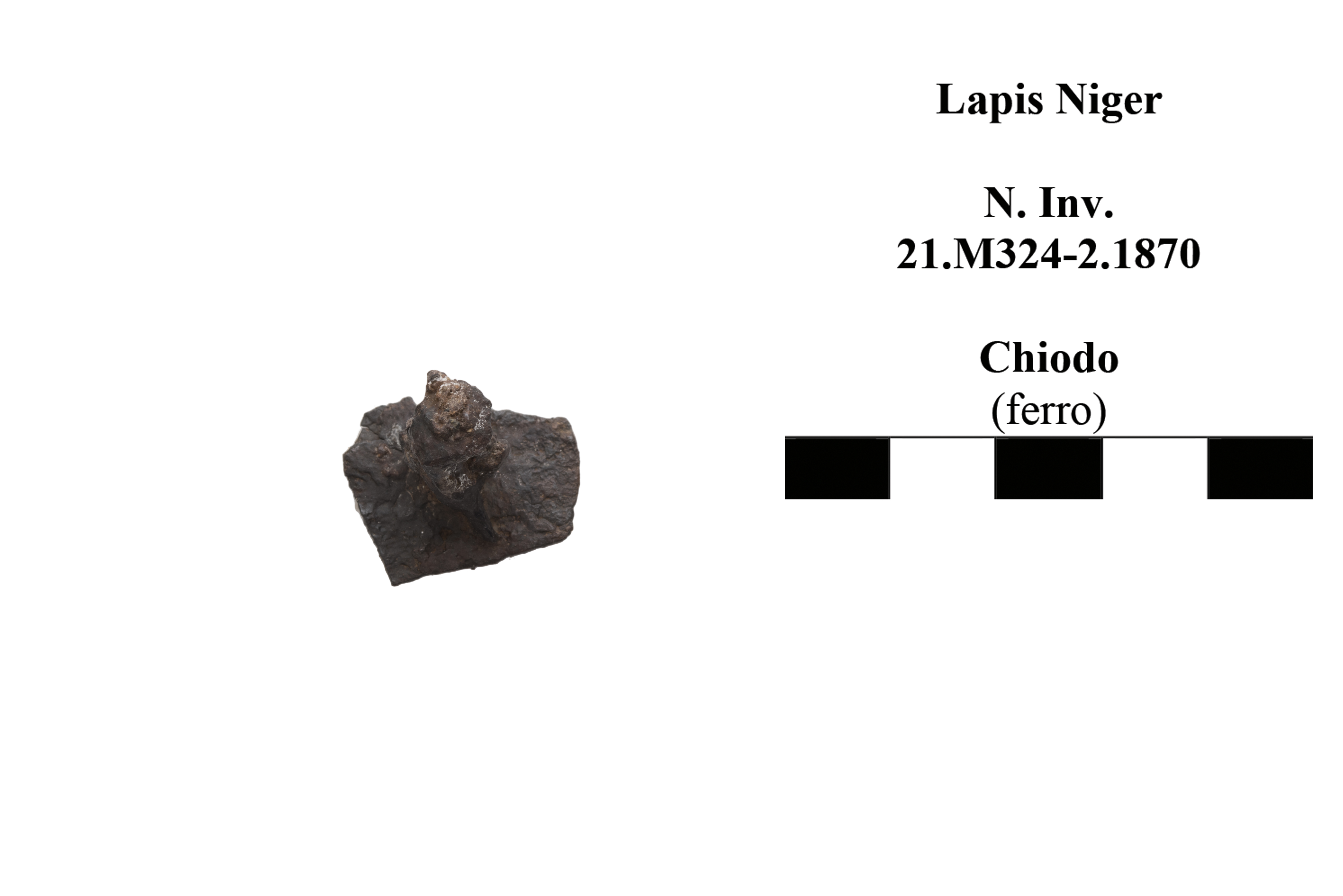 chiodo
