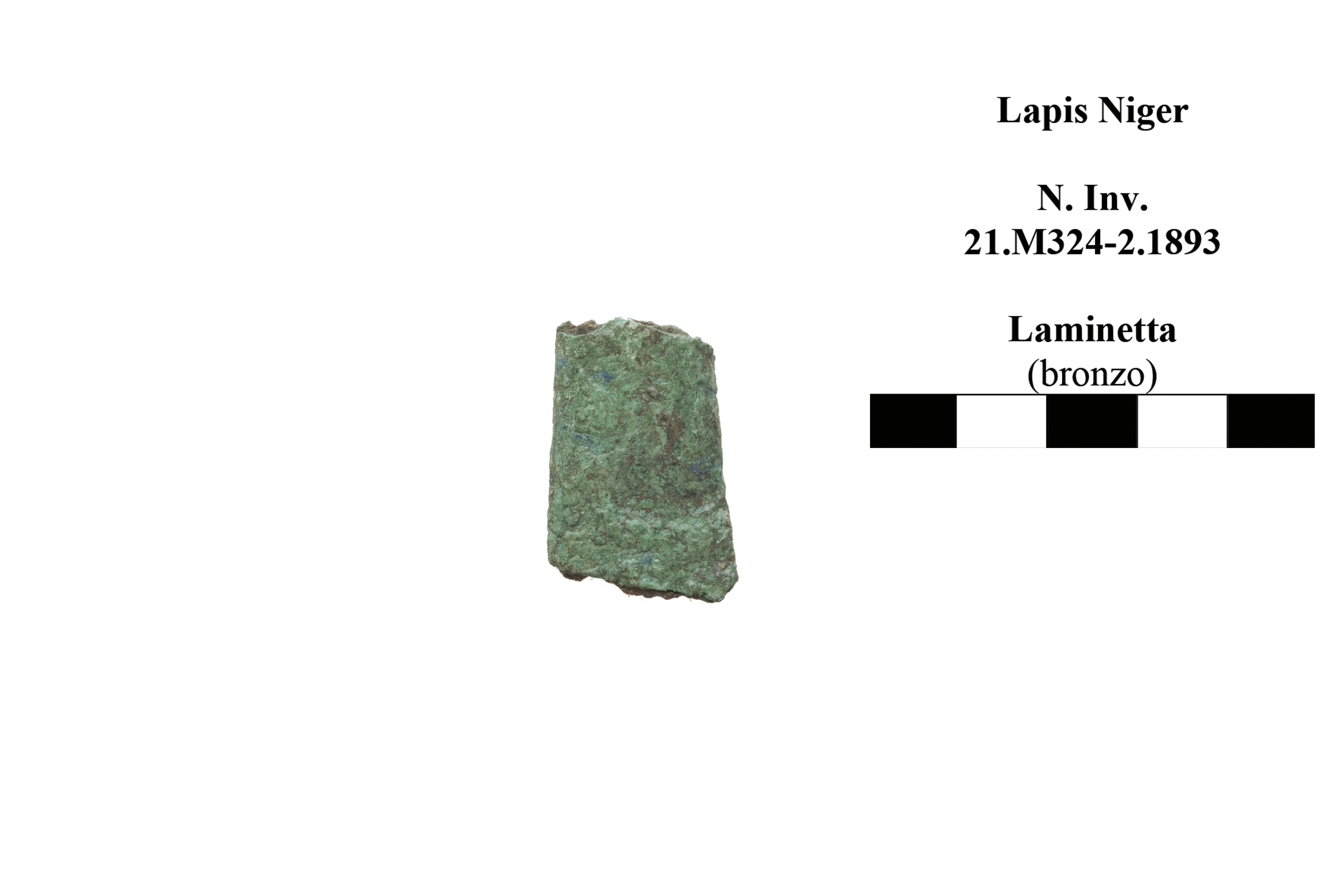 lamina