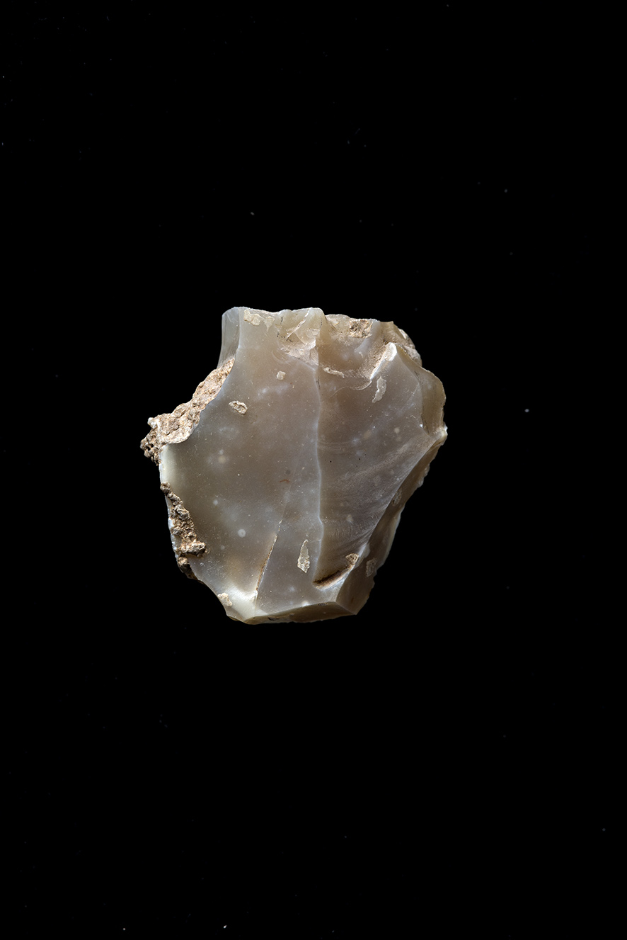 nucleo