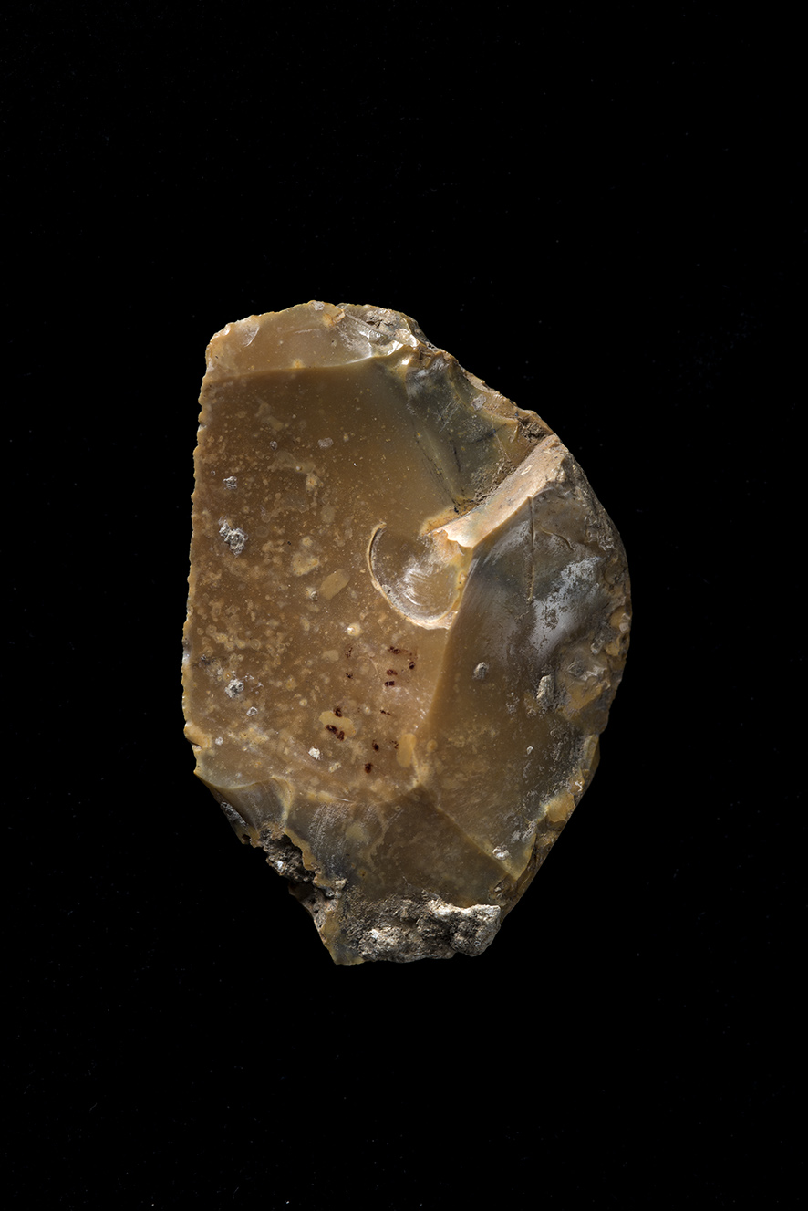 raschiatoio