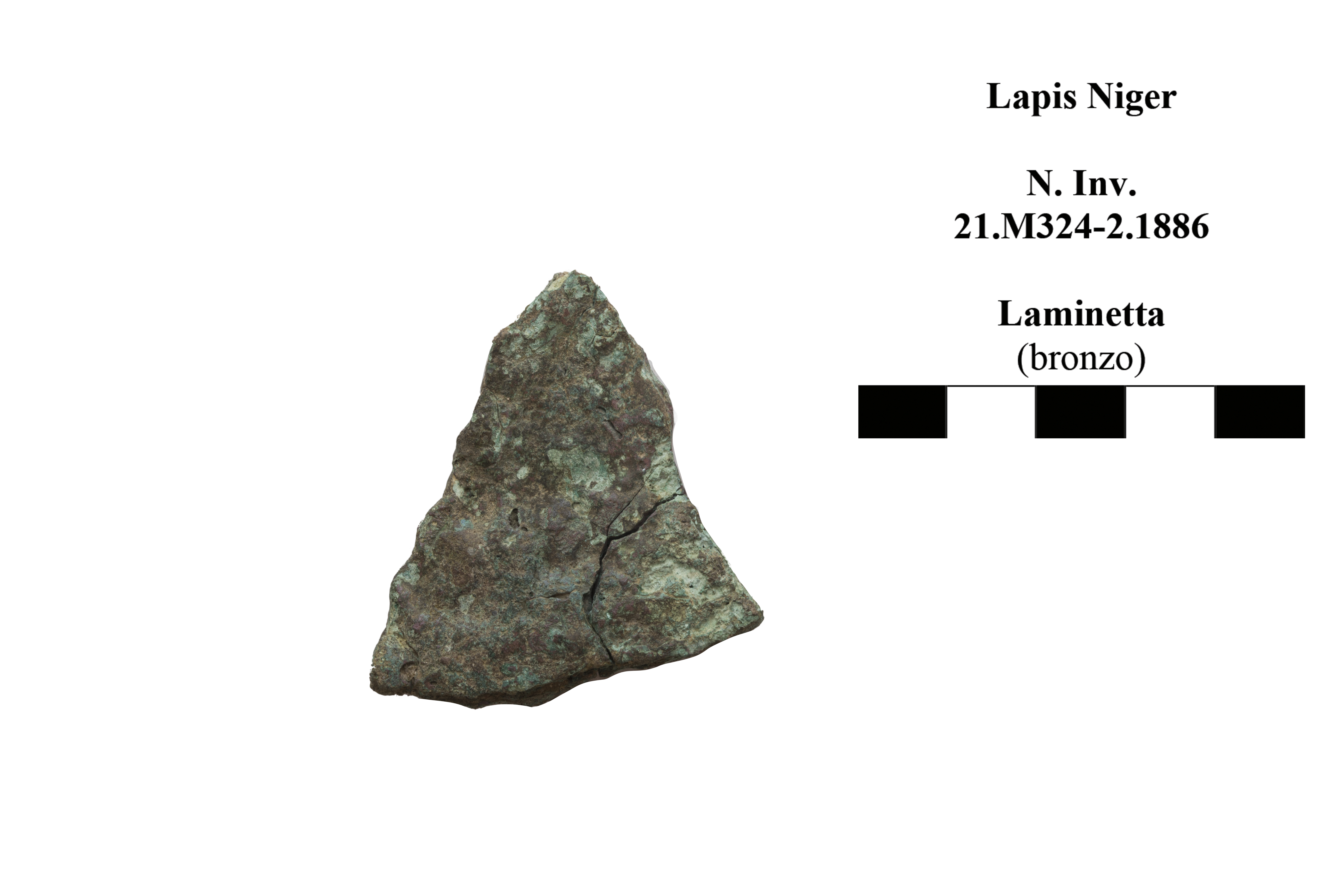 lamina