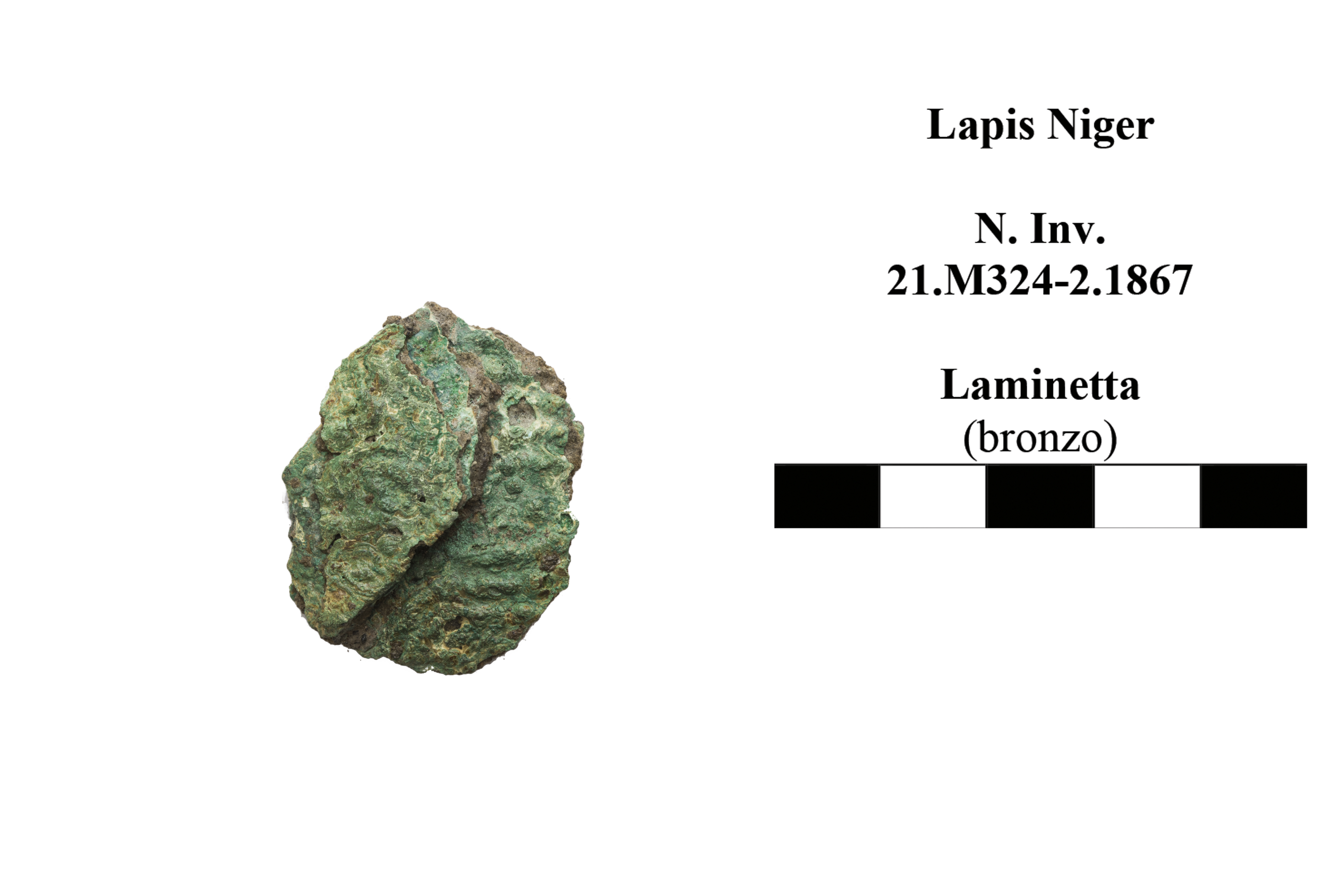 lamina