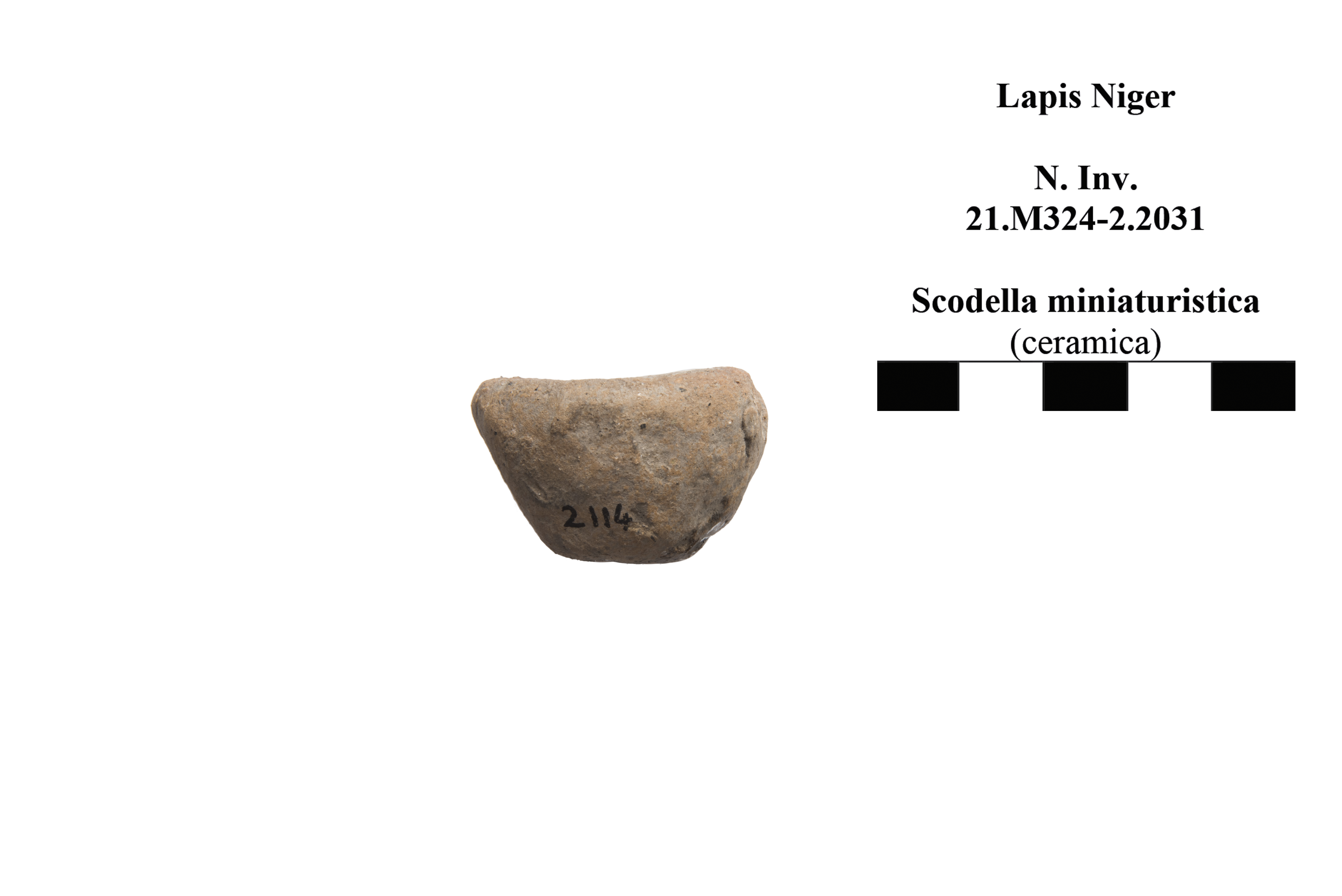 scodella