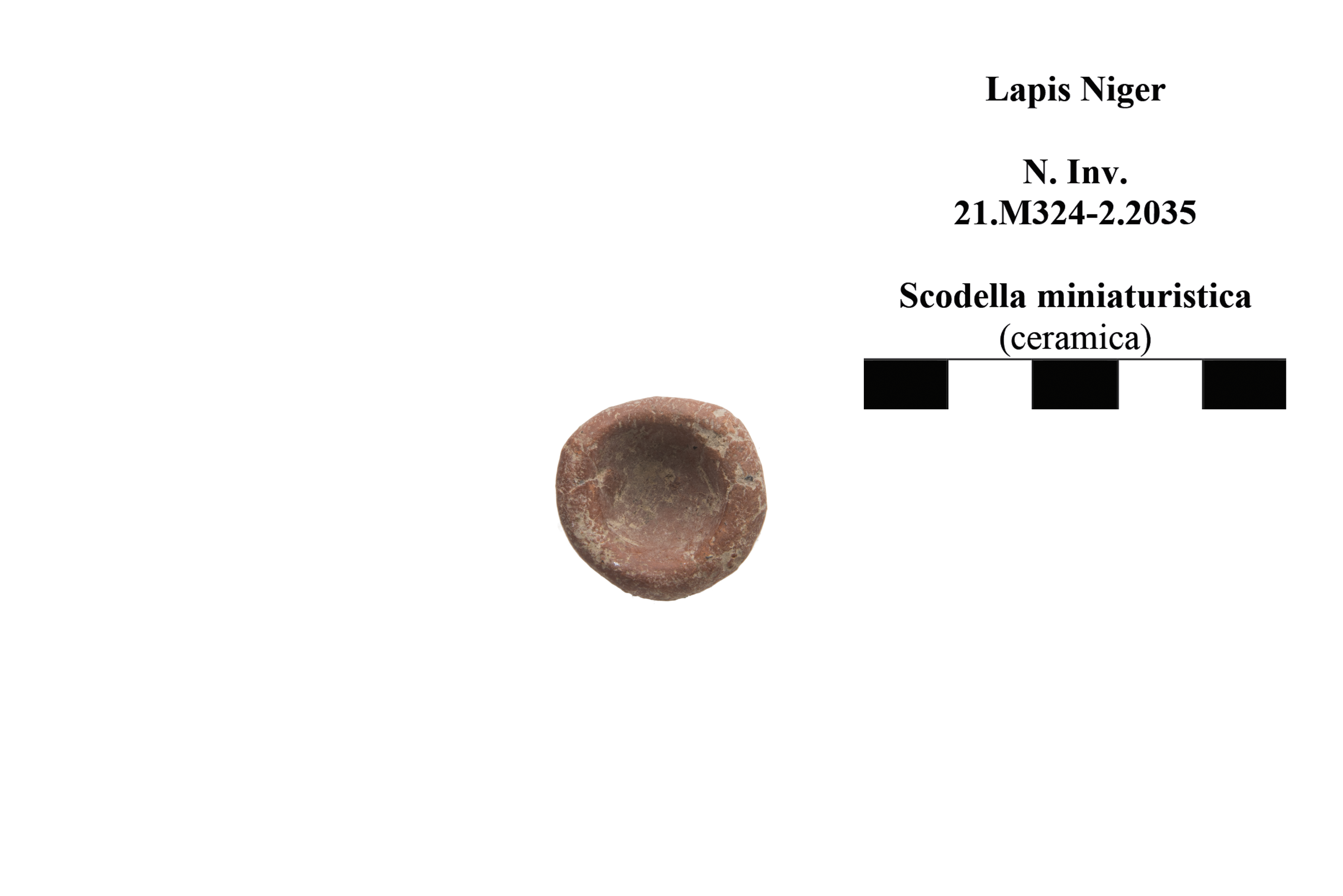 scodella