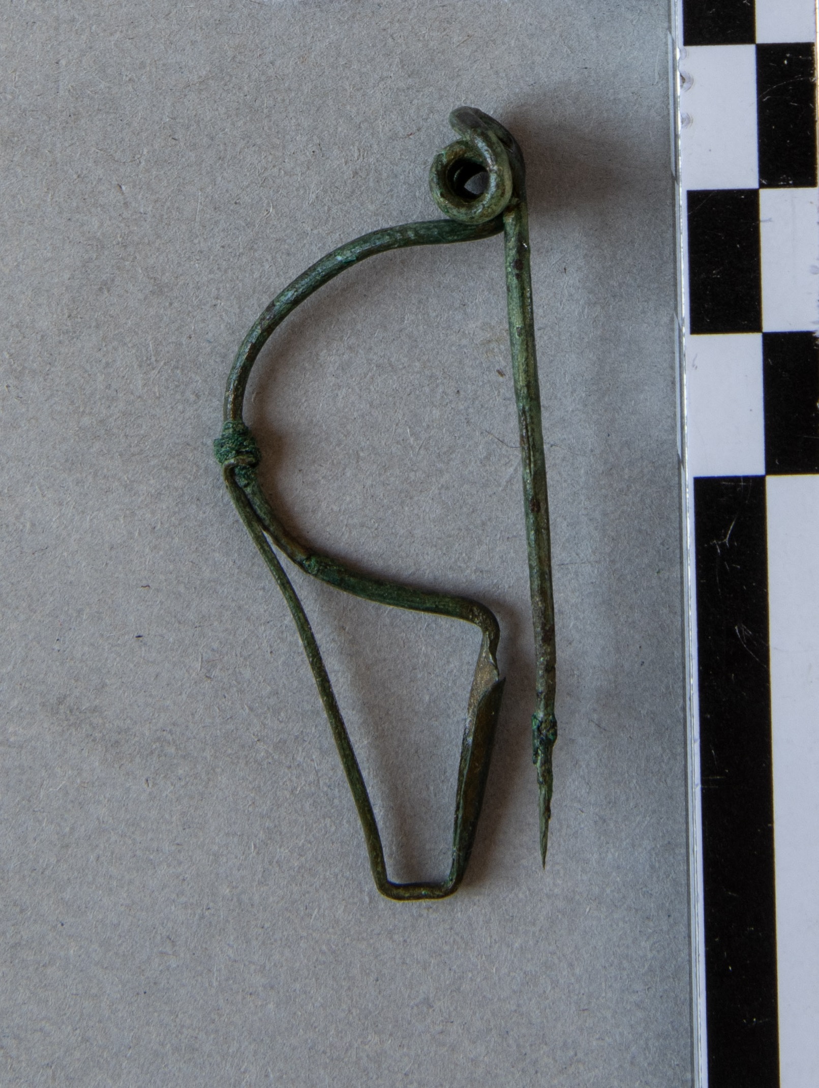 fibula