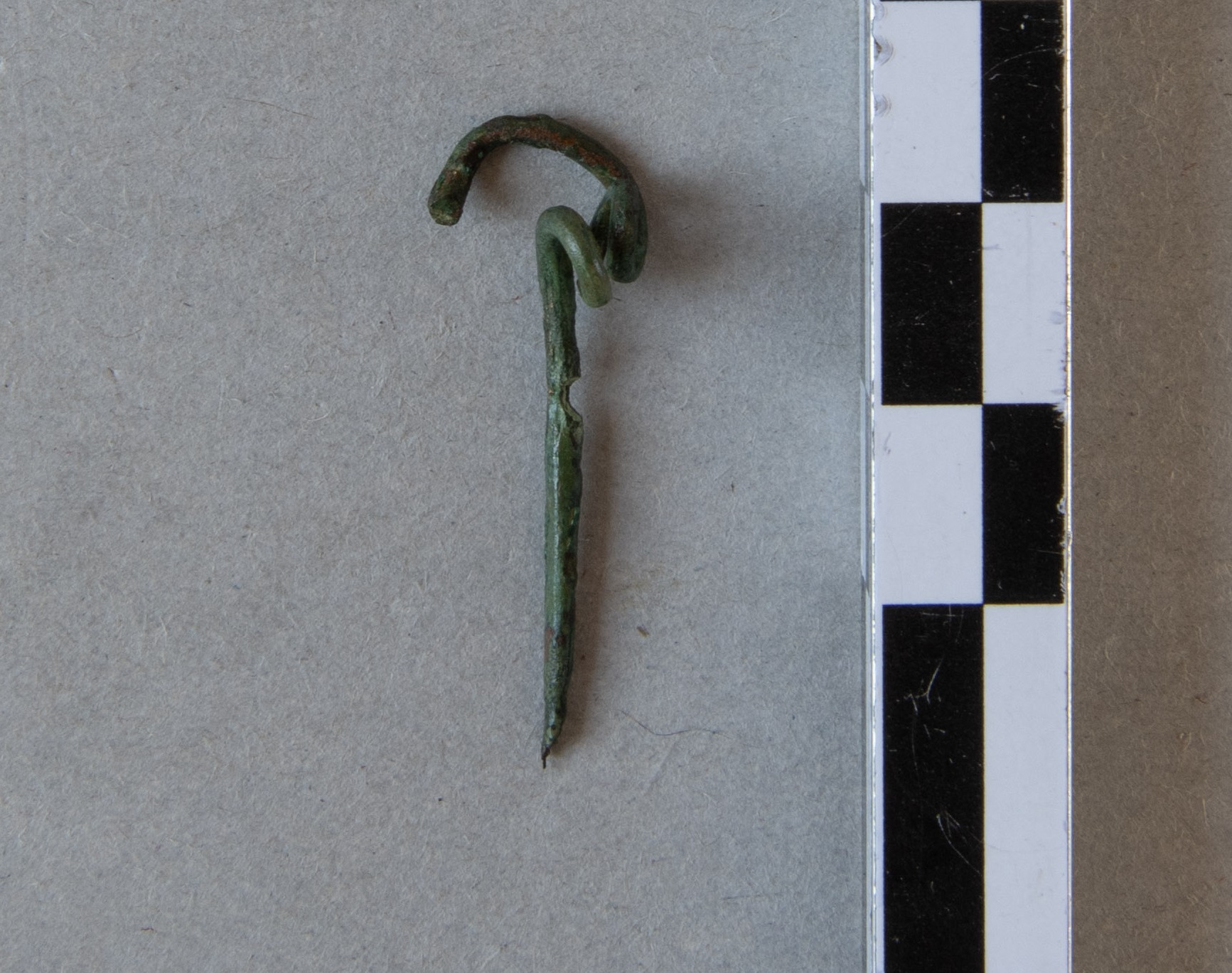 fibula