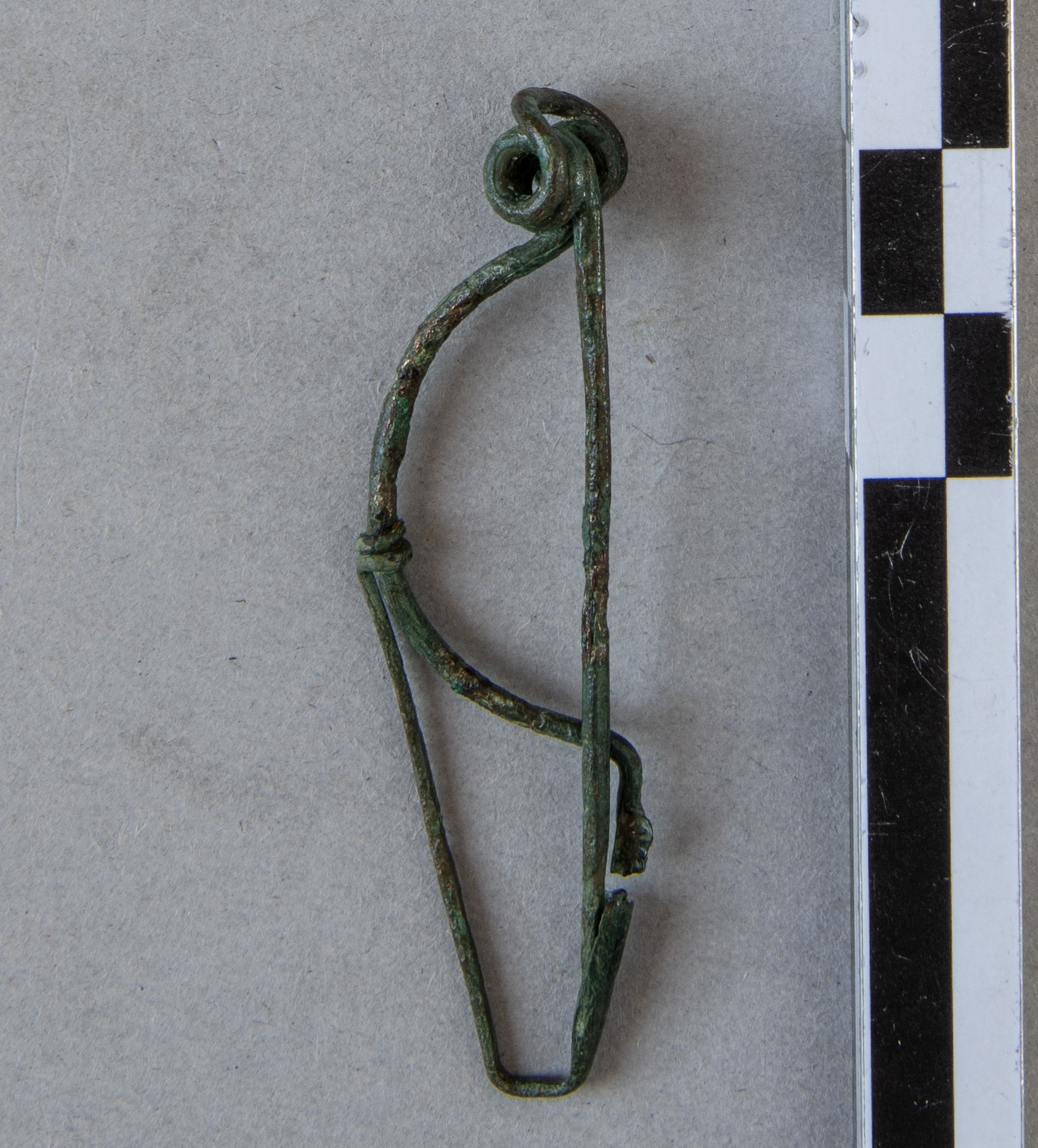 fibula