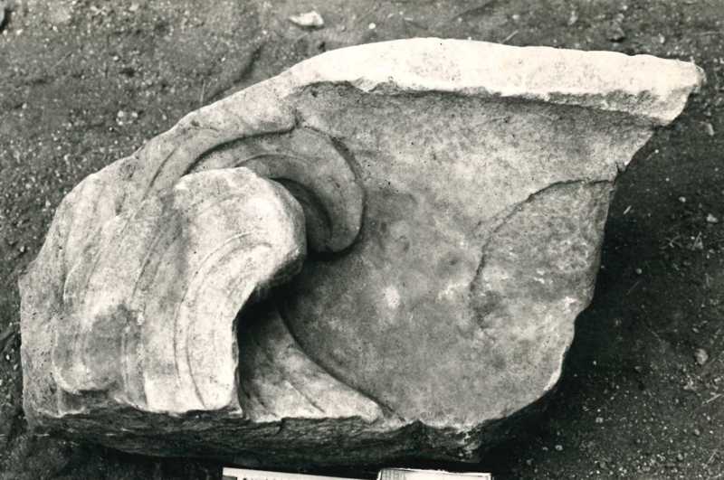Frammento di rilievo decorato raffigurante un grifo. (?)