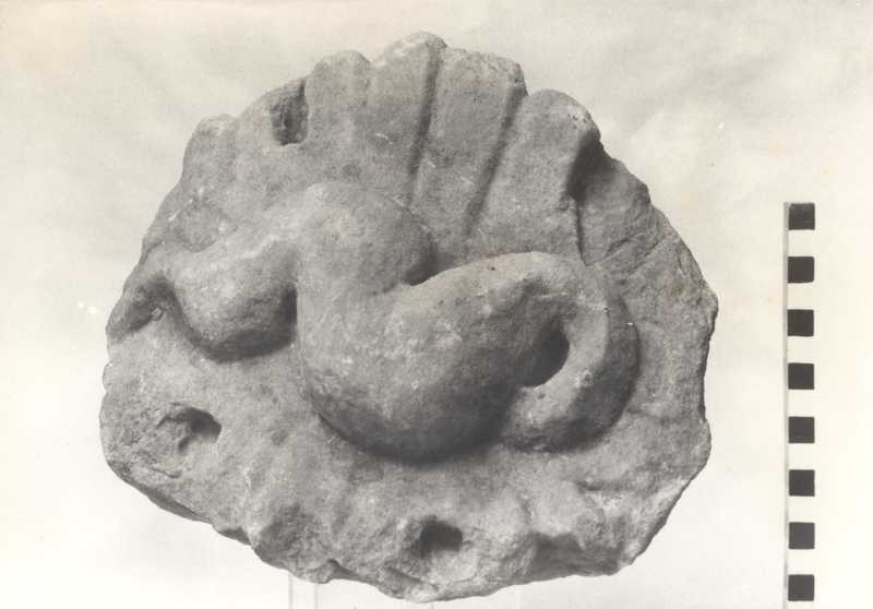 Frammento di capitello corinzio.