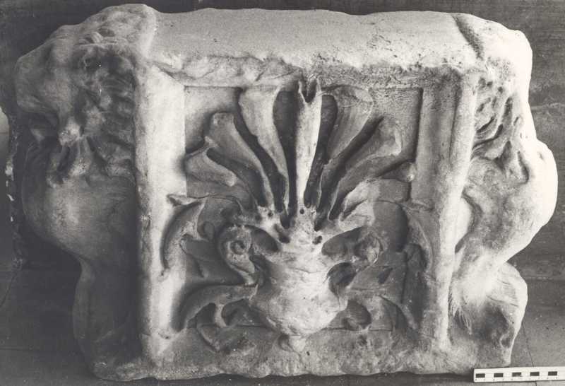 Elemento di trapezoforo.