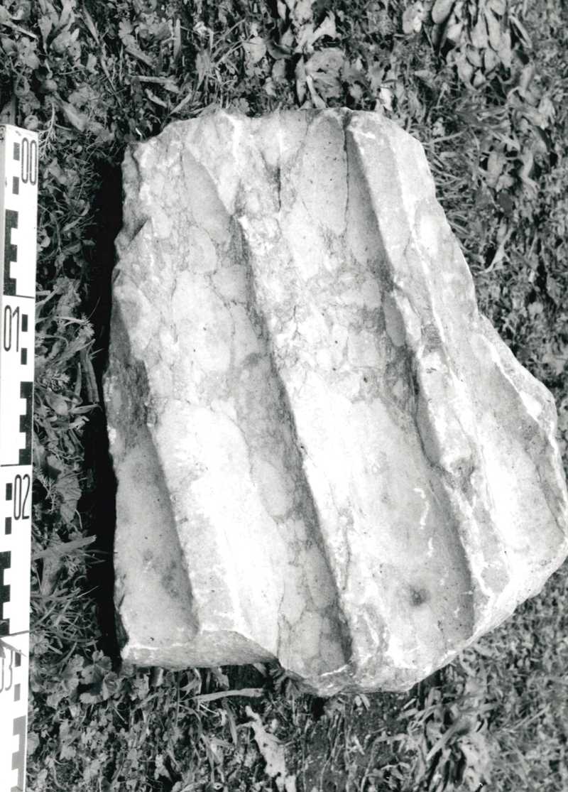 lesena scanalata /fr